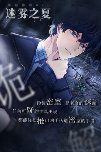 迷雾之夏截图1