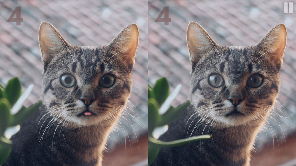 慧眼寻异截图3