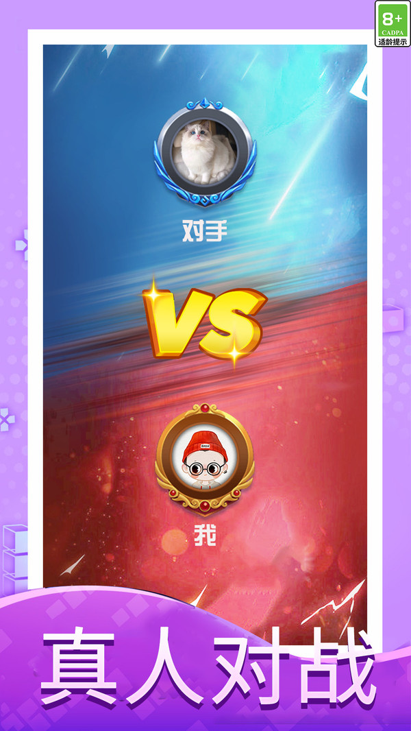 俄罗斯方块大作战截图3