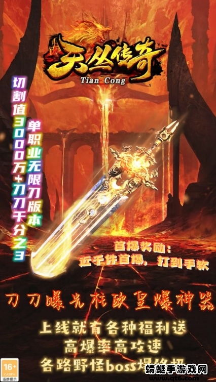 天丛传奇1.76版本截图2