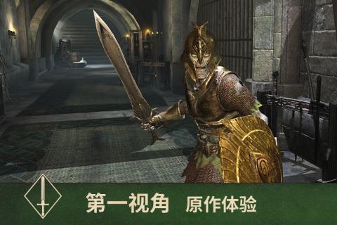 上古卷轴刀锋截图2