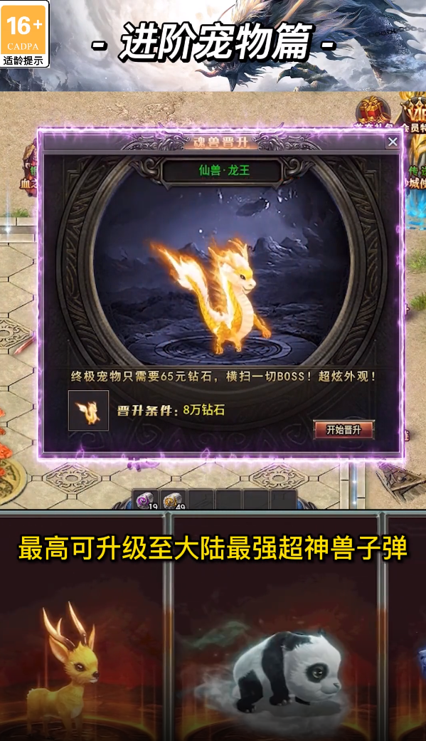 顺玩骑士传奇截图1