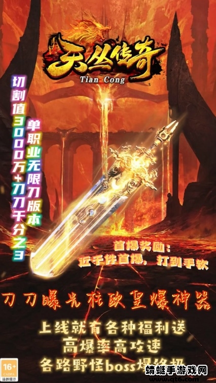 天丛传奇1.76版本截图3