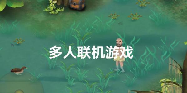 多人联机游戏
