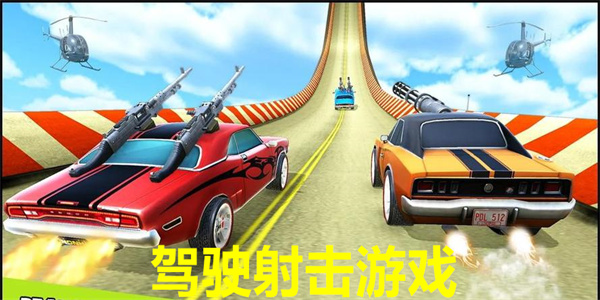 驾驶射击游戏
