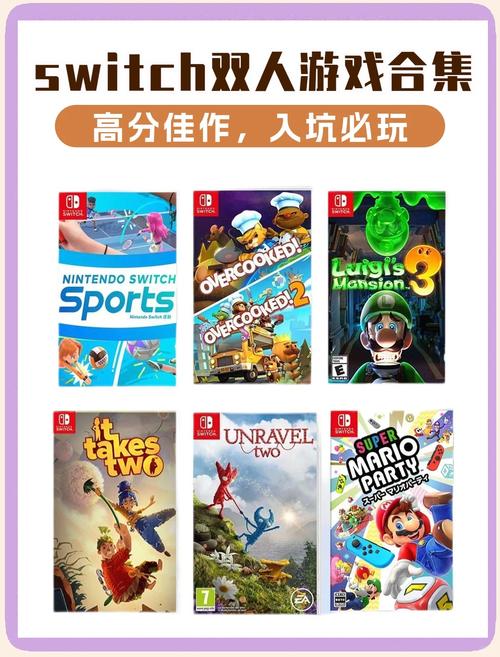超级玛丽双人版游戏,合作与挑战并存的快乐体验
