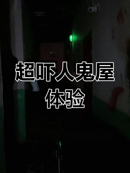 探索未知与恐惧，揭秘一款神秘的鬼屋游戏