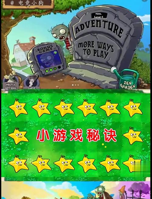 植物大战僵尸打字版,一款独特的休闲游戏体验