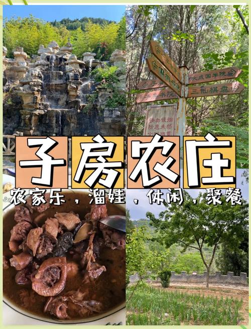 享受乡村生活,品味4399农家乐的魅力