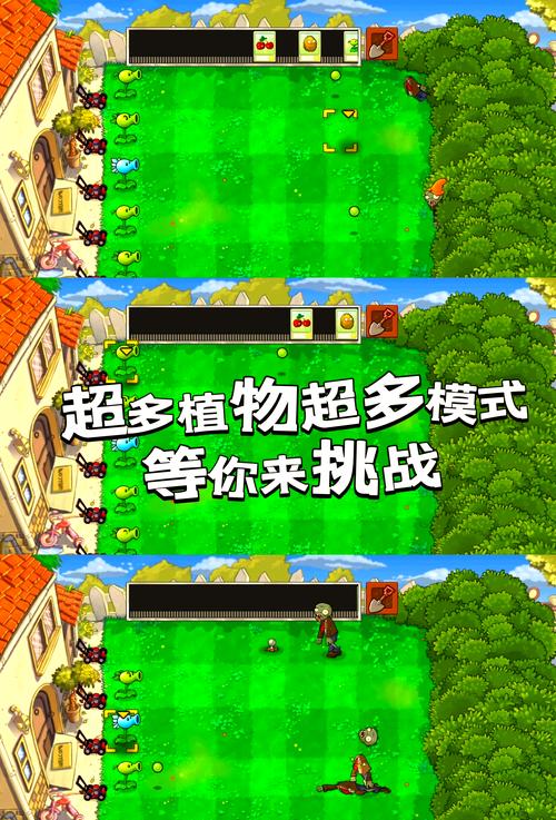 植物大战僵尸完整版,策略与技巧分享
