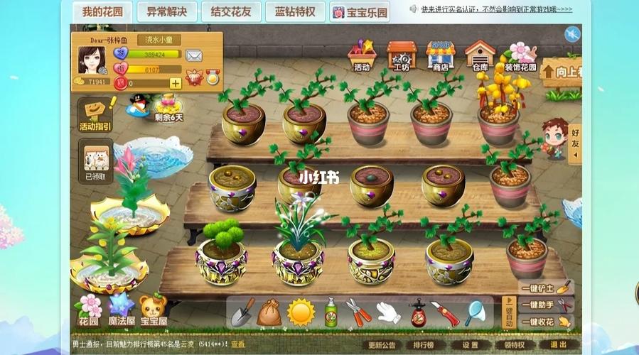 探秘QQ玫瑰小镇，解锁无限制的乐趣与浪漫