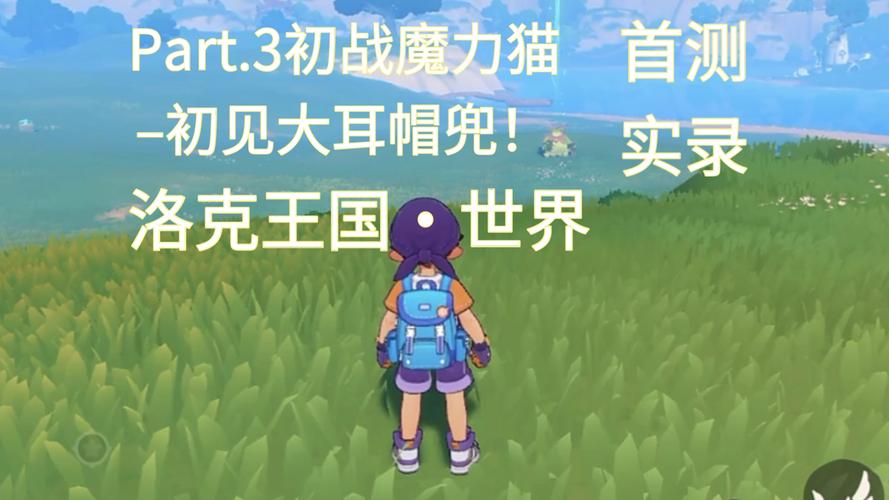 捕捉大耳帽兜在洛克王国中,攻略与技巧分享