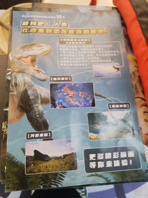 探索神秘极地,揭秘南极泡泡龙的奥秘