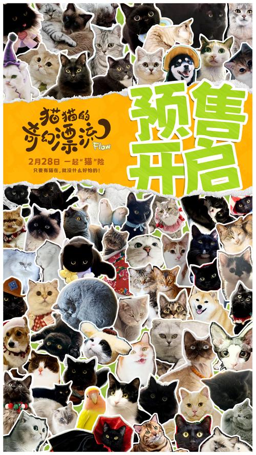 肥猫天使3,宠物世界的奇幻之旅