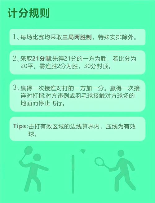 双人对战弹球的魅力与策略解析
