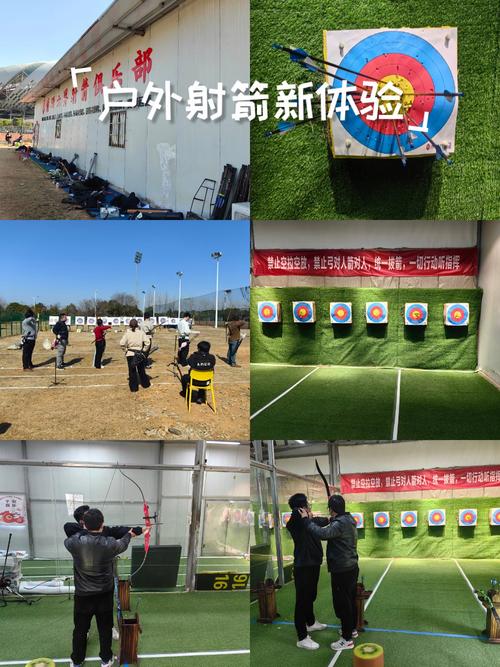 体育游戏,释放激情与挑战的游戏天堂