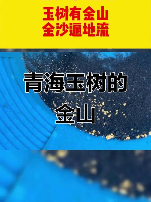 探秘黄金宝地,寻找那片埋藏财富的土地
