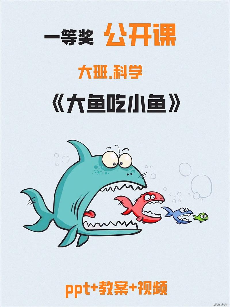 健康美味,探索吃小鱼的奇妙世界