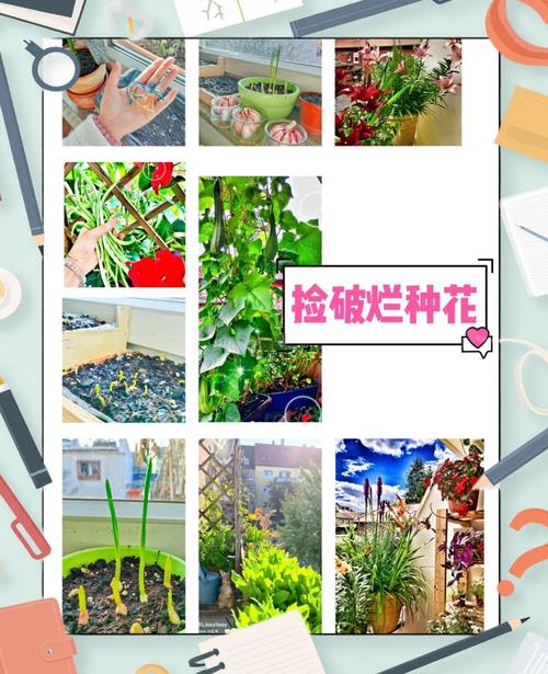 如何玩转种花游戏,打造完美花园体验