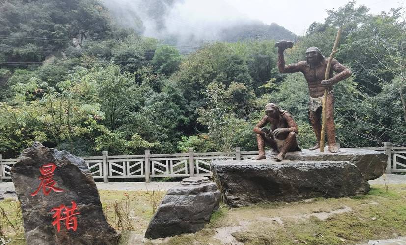 野人部落,神秘而迷人的自然奇观