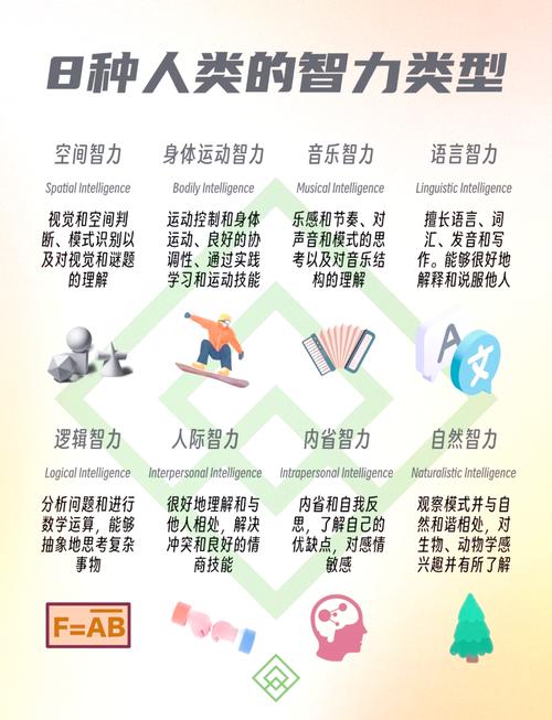 智商球2,提升智力与智慧的新选择