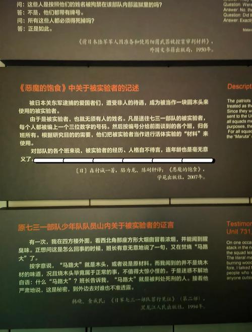 遏制侵略,揭秘狙击小日本3的策略与战术