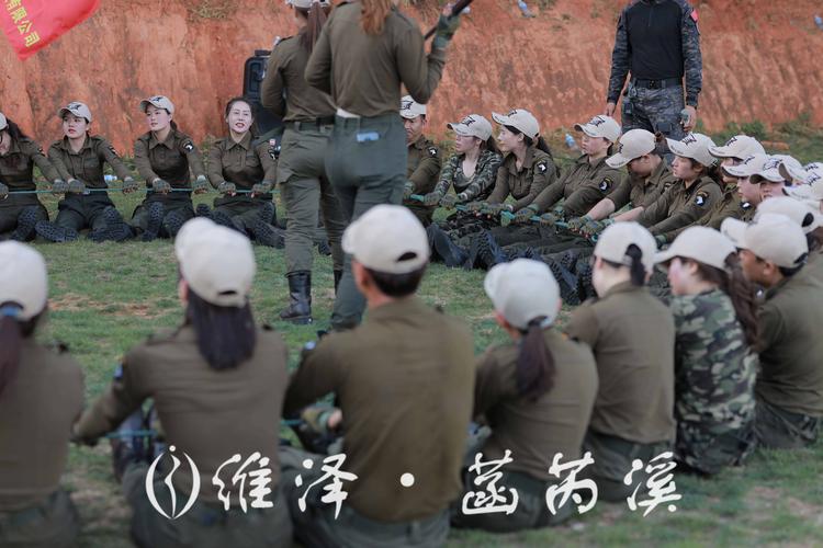 小马森林挑战赛,激发创意与团队协作的新冒险