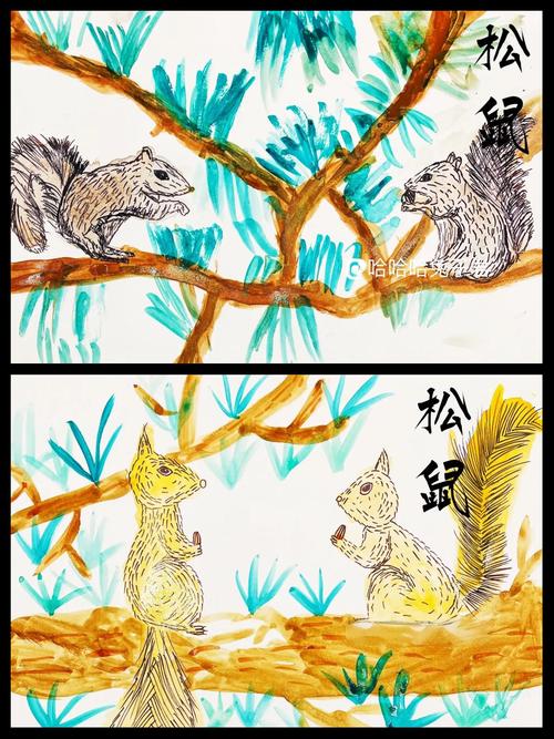 松鼠大作战,探索自然界的智慧与趣味