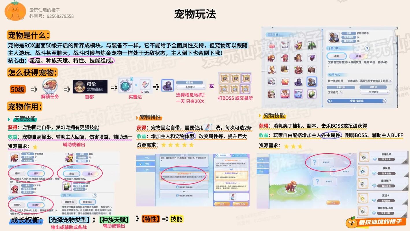 如何让您的宠物成为虚拟世界的主人—探索宠物网页游戏的魅力