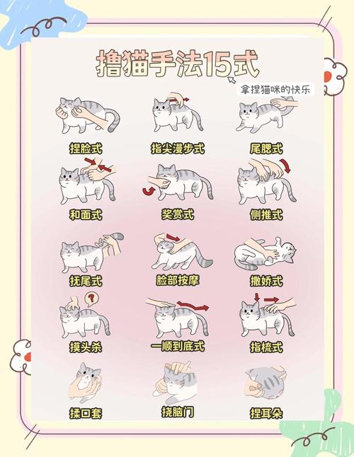 如何在家中轻松享受猫咪带来的乐趣？围住神经猫下载让你一目了然！