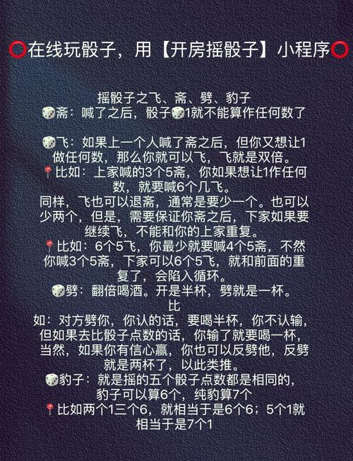 筛子游戏的魅力与玩法详解