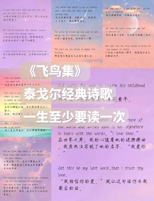 追钗奇缘攻略，揭秘古代爱情故事中的智慧与浪漫