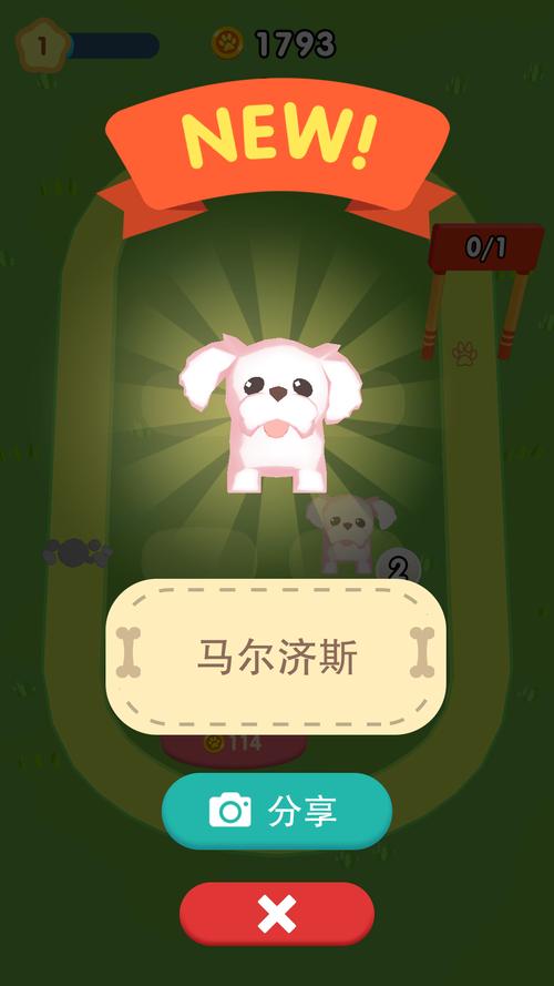 狗狗游戏,让宠物成为你的数字朋友