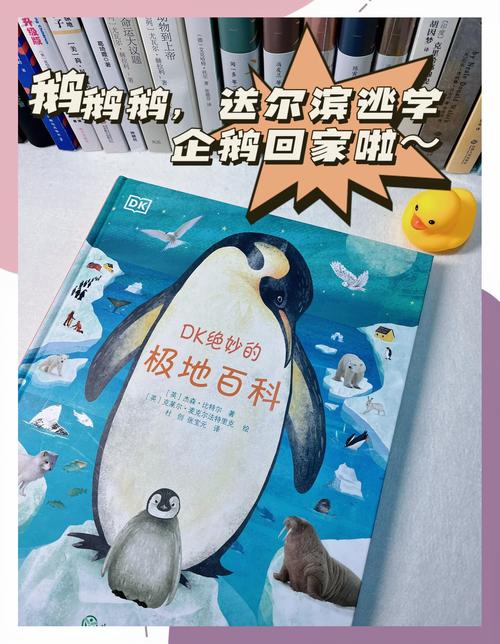 探索奇妙之旅—你的胖企鹅攻略指南