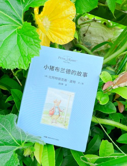 小猪复仇，一场关于正义与勇气的奇幻冒险