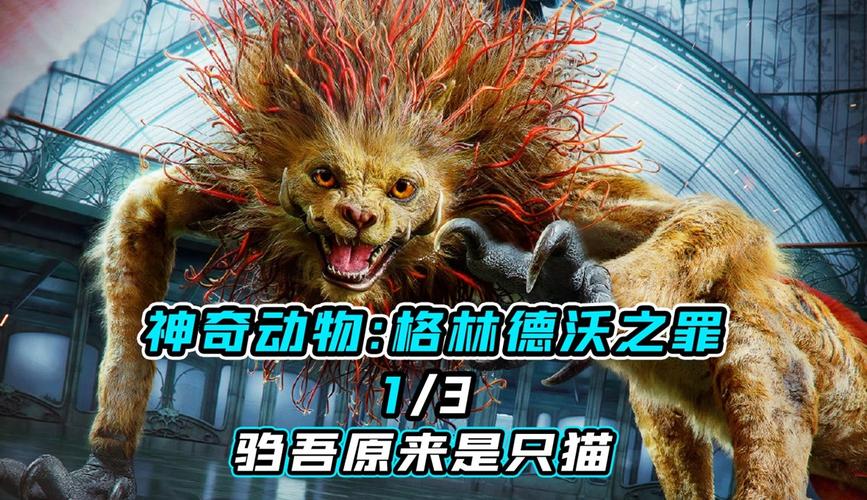 魔法师对决,一场奇幻与智慧的较量