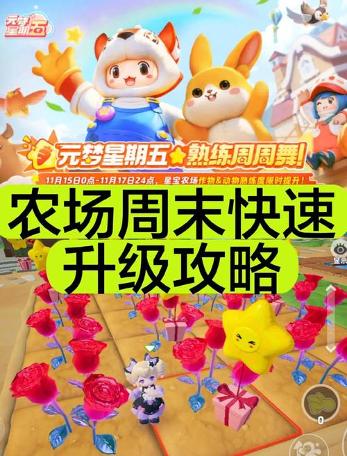 如何在2144开心农场中获得成功，新手攻略与技巧分享