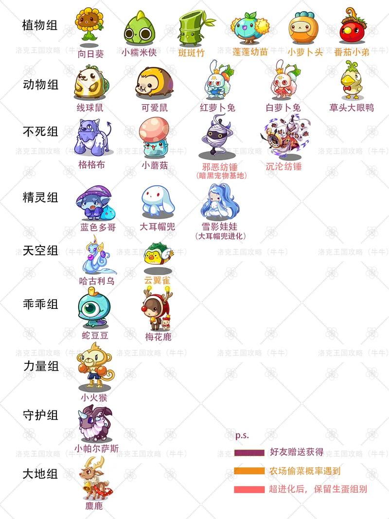 探索宠物世界的新宠,洛克VIP宠物服务