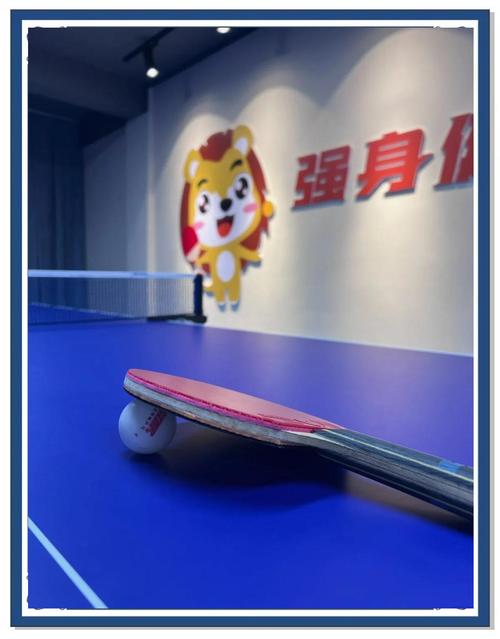 如何在家中轻松享受2D桌面乒乓球的乐趣