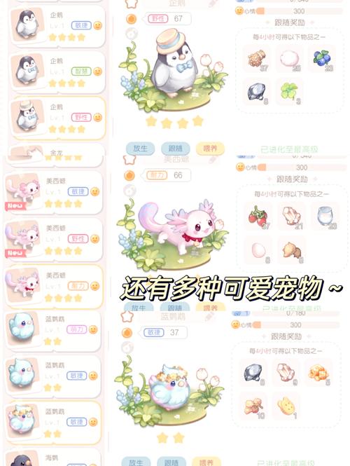 奥比岛第一宫攻略，探索神秘与乐趣的奇妙之旅