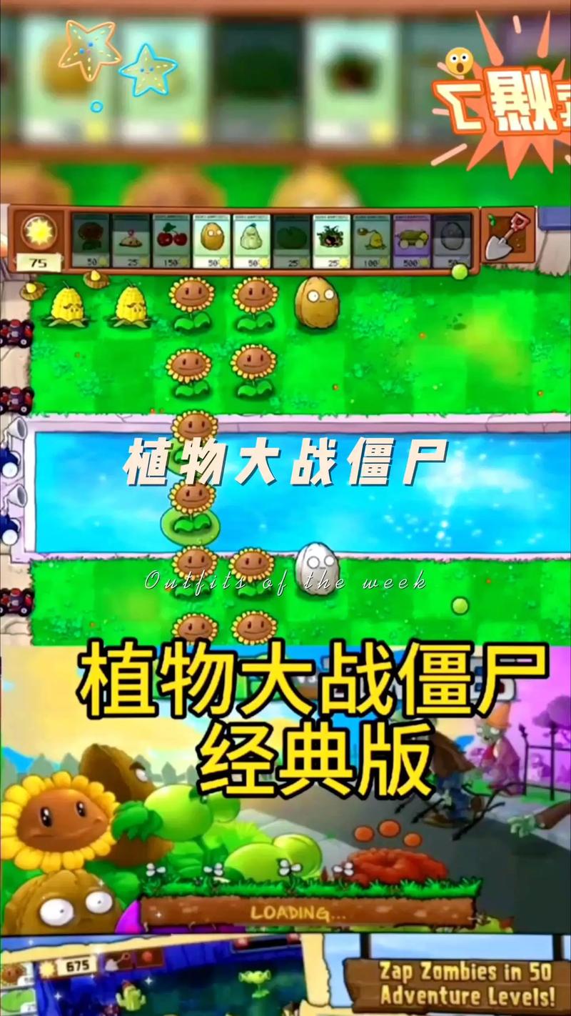 植物大战僵尸安卓免费版,轻松挑战,欢乐无限!