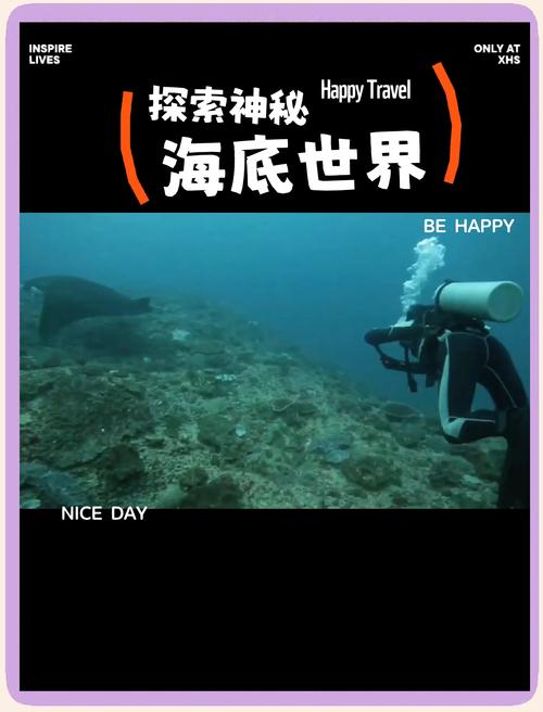 海底探险之旅,寻找未知世界的奇妙旅程