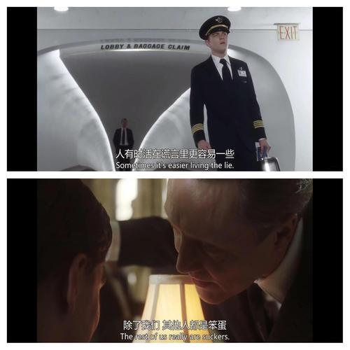 猫鼠大战,一场关于生存与智慧的较量