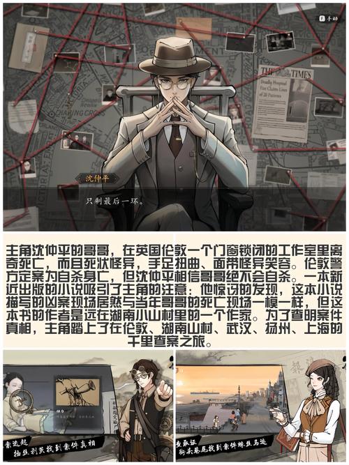 胡侦探11,揭秘悬疑世界中的智慧与勇气