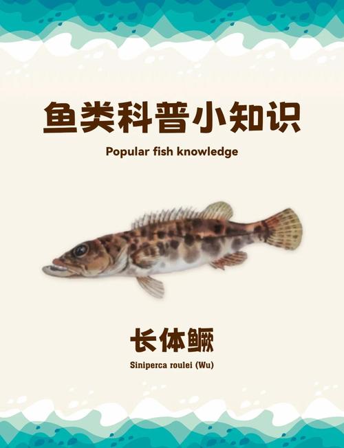 猎鱼高手，探索鱼类世界中的智慧与技巧