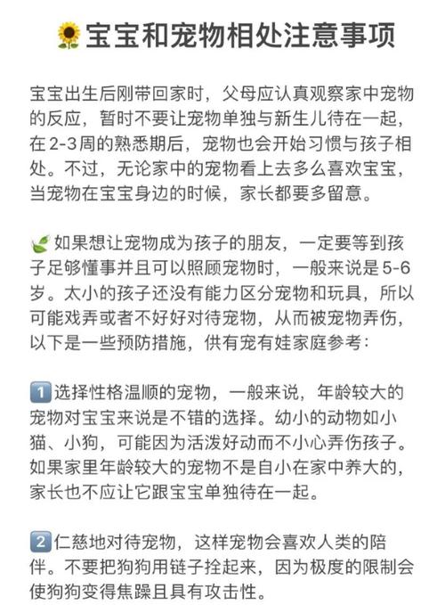 如何让宠物成为家庭游戏的好伙伴?